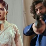 Bhumi Pednekar has reacted on the debate around Sandeep Reddy Vanga's Animal.